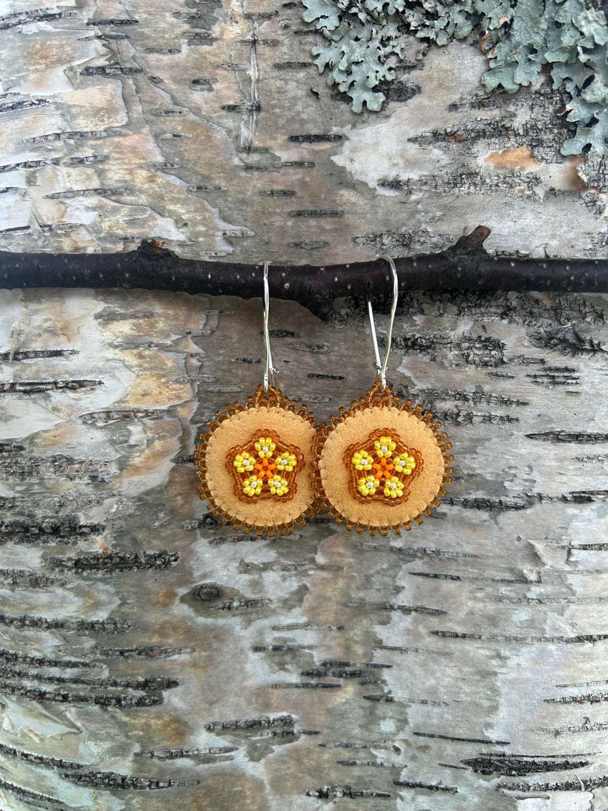 ᒨᔅ ᐆ ᓃᐲᒥᔥᐦ, Moose’s Flowers