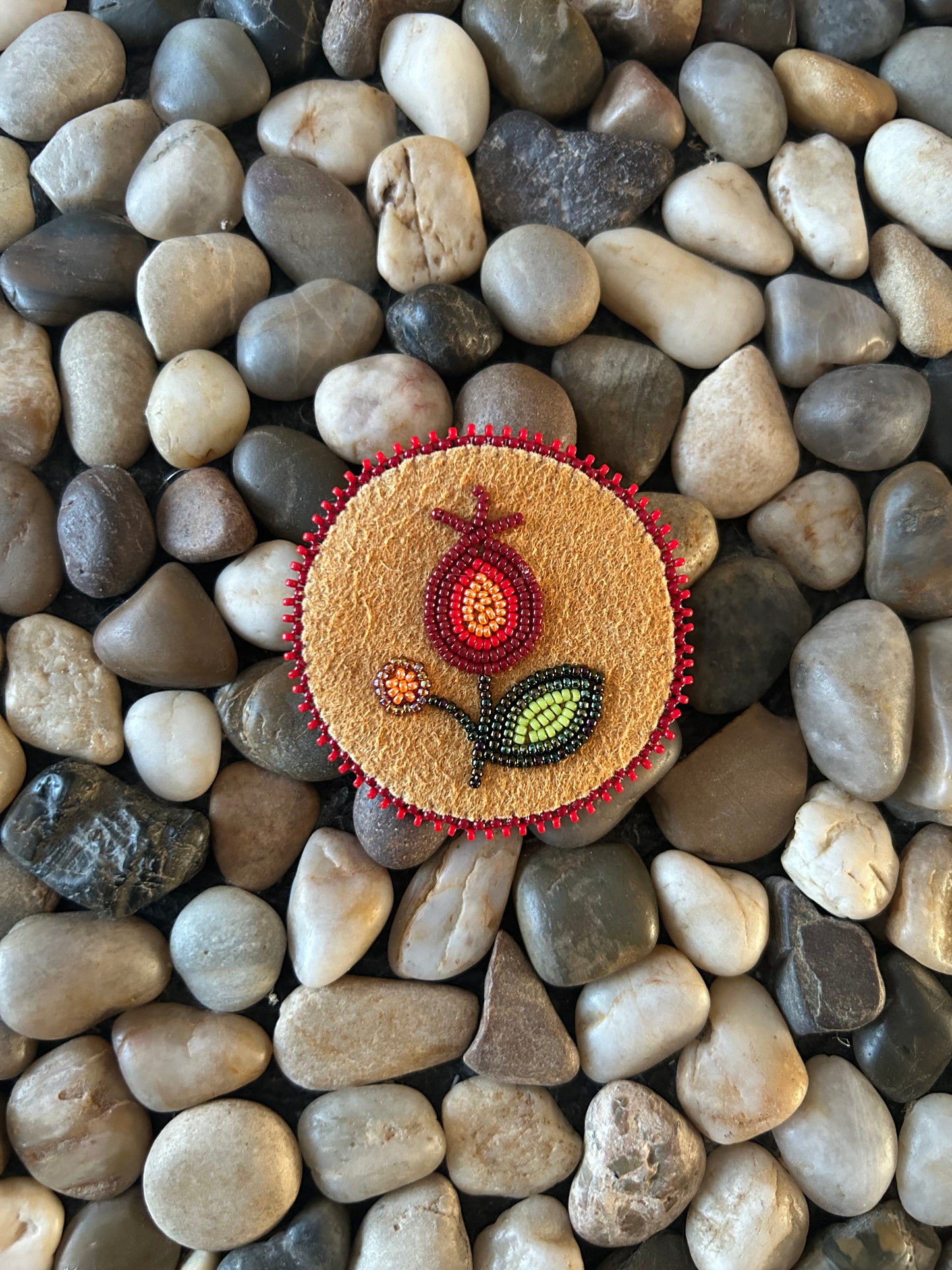 Aayanschaa: Generation to Generation Pin