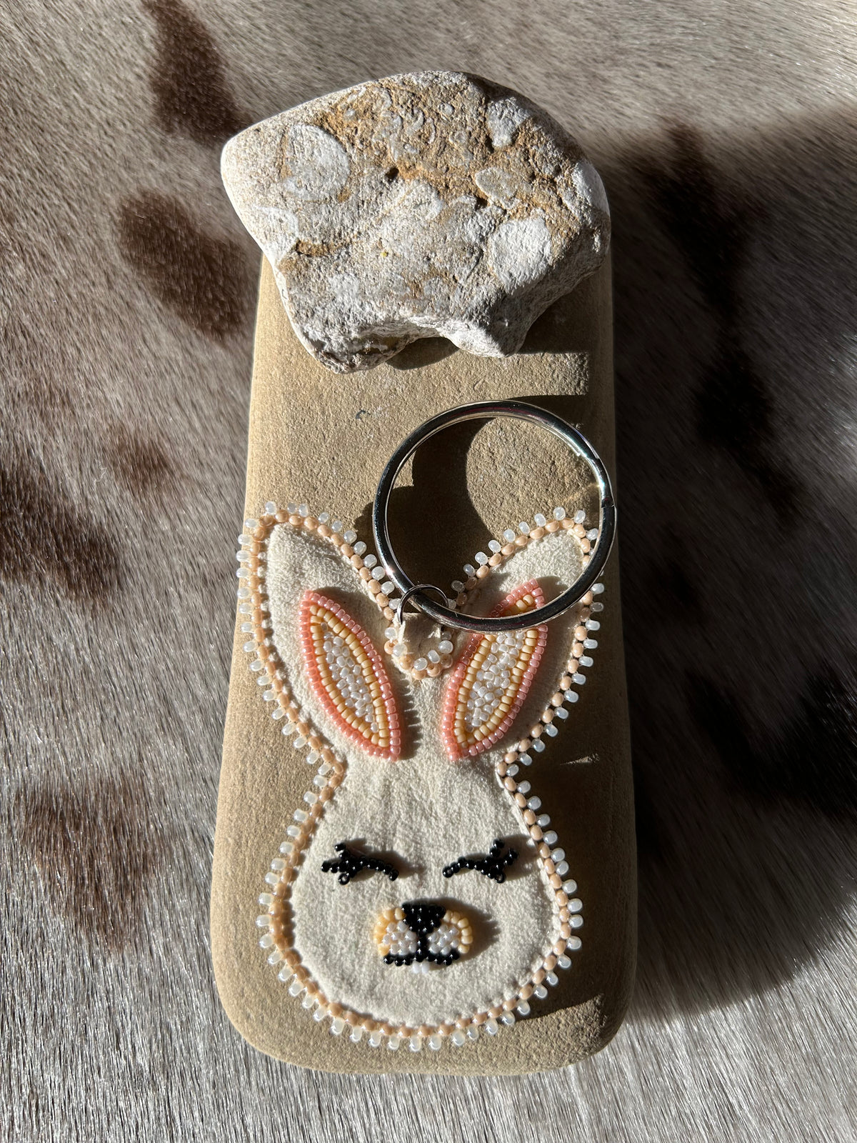 Fast Cloud & Friends Keychains